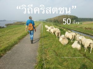 วิถีคริสตชน 50 ก้าว