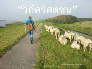 วิถีคริสตชน